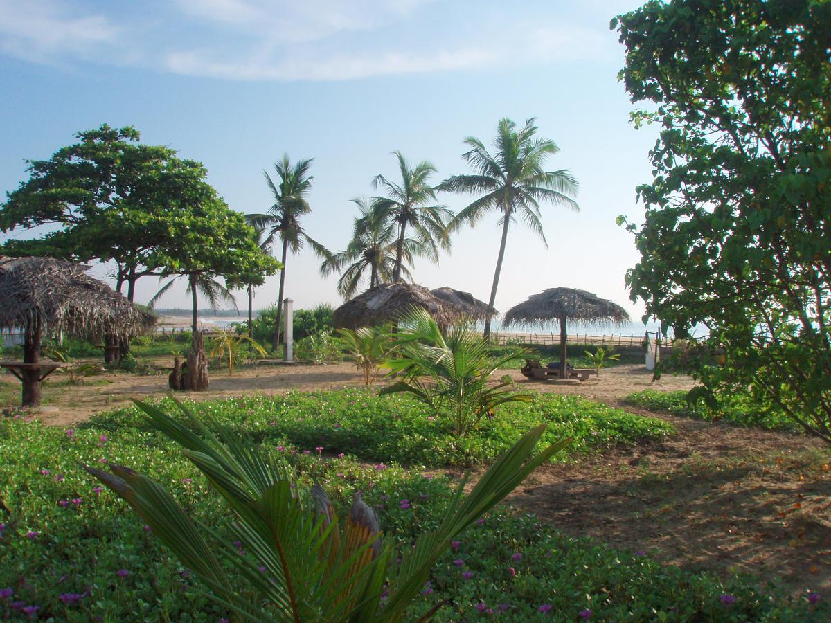 Stardust Beach Hotel Arugam Bay Exterior foto